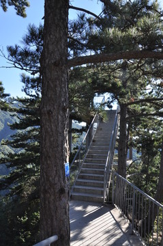 山路