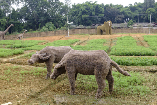 稻草人樂園