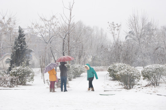 賞雪
