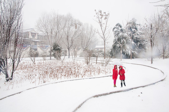 賞雪