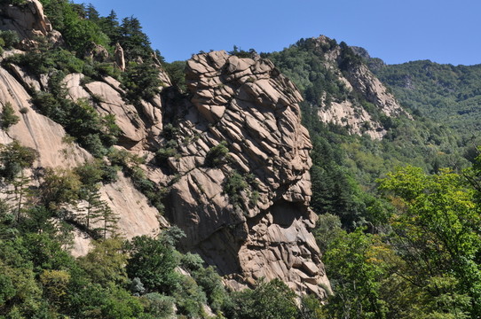 山