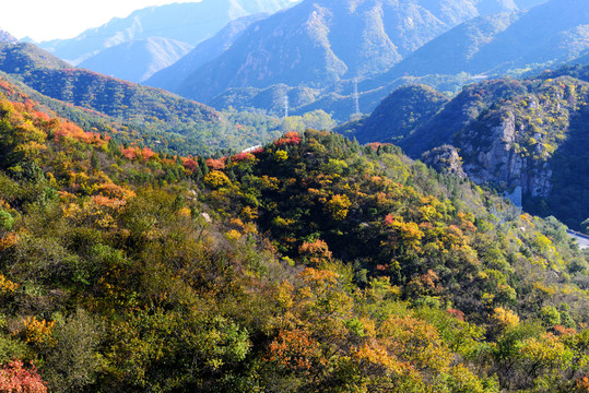 山嶺的紅葉