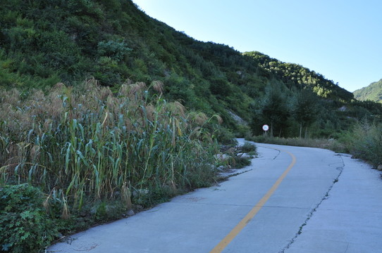 路
