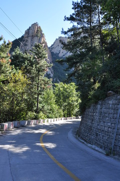 拐彎路