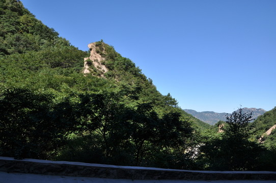 山