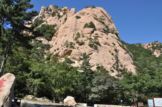 山