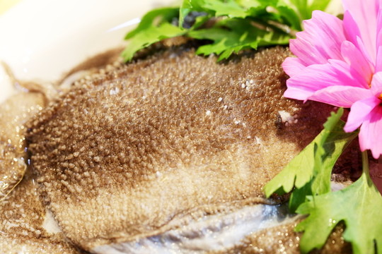 毛肚
