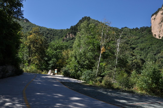 路