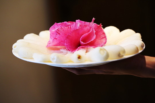 菌類