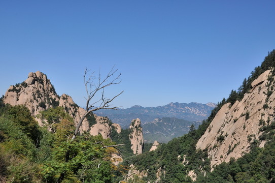 山脈