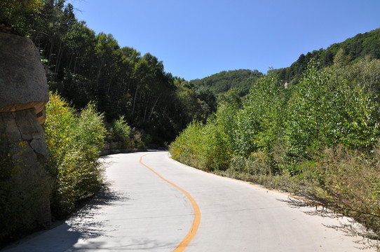 一條彎曲的路