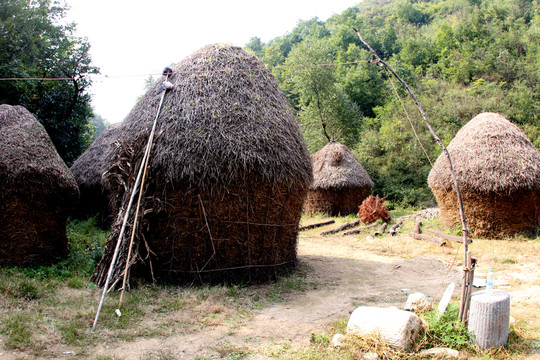 鄉(xiāng)村風(fēng)景