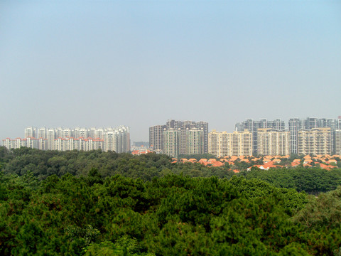 房地產(chǎn)