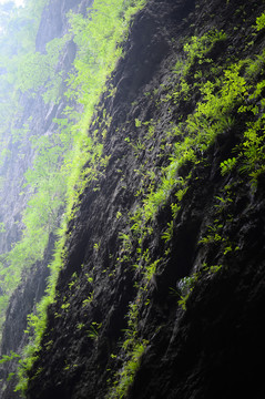 大峽谷 金絲峽