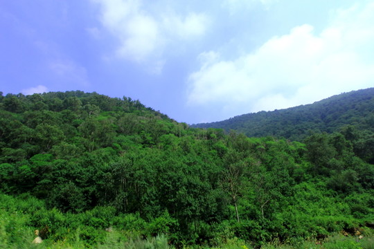 大青山