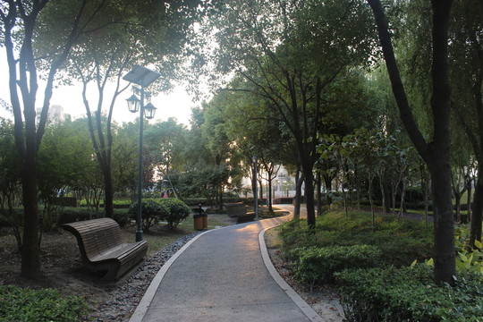 公園小路