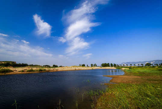 黃河濕地