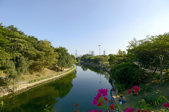 深圳風(fēng)光