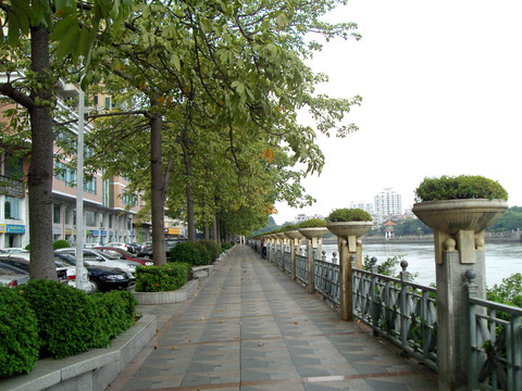 江濱河堤