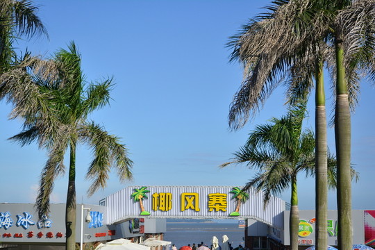 椰風寨