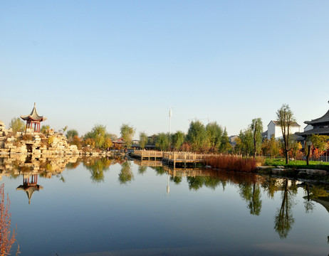 公園風(fēng)光