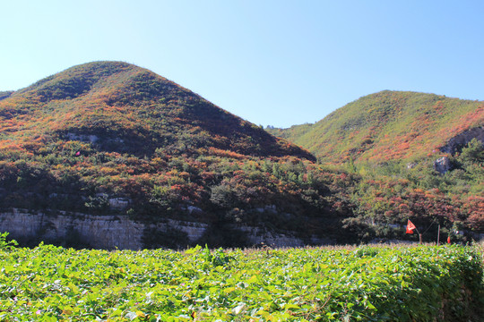 太行風(fēng)景