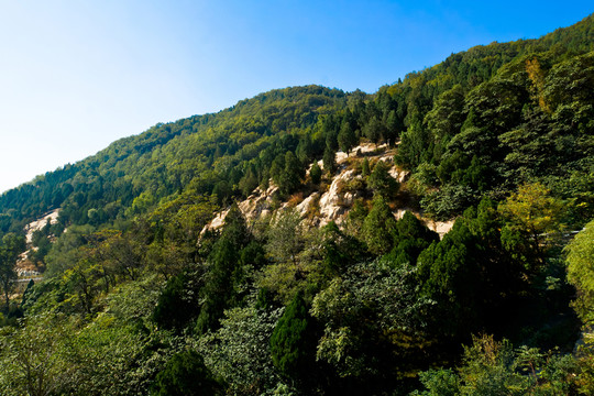 泰山風(fēng)光