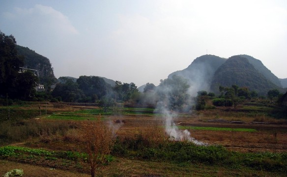葡萄鎮(zhèn)風(fēng)光