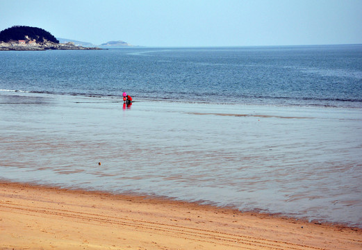 海灘