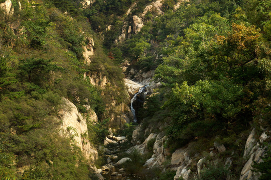 山體植被