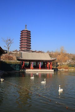 北京世界園林博覽園塔