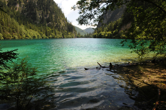 山清水秀