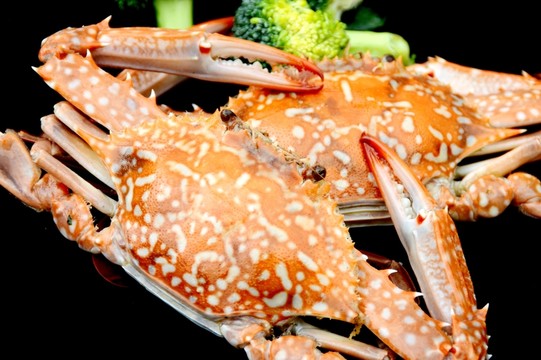 兩只 大花蟹