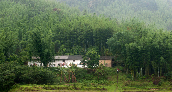 竹林人家
