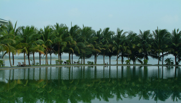 椰樹湖水 南麗湖風(fēng)光