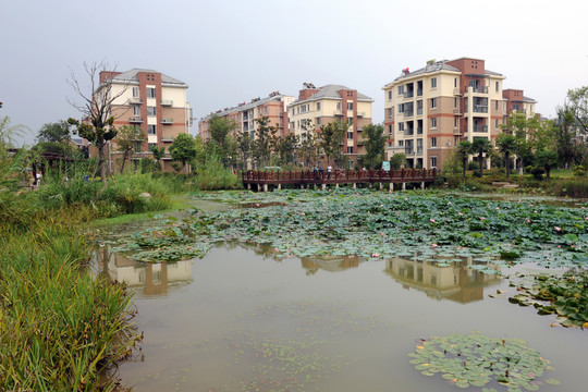 商業(yè)住宅小區(qū)
