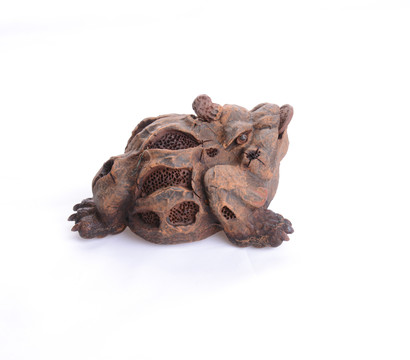 樹皮金錢蟾蜍
