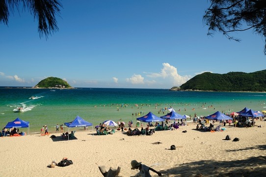 海灘 濱海