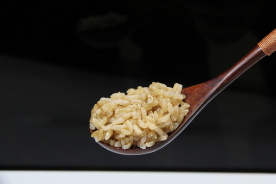 糙米饭 胚芽米饭 杂粮饭 粗粮