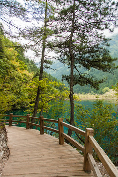 九寨溝山林旅游棧道 臥龍海