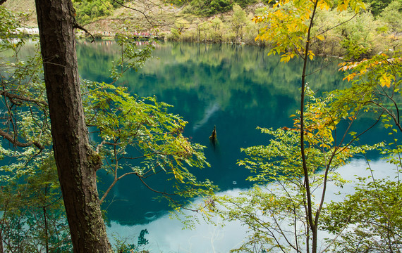 九寨溝山水仙境 臥龍海