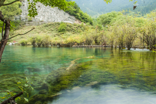 九寨溝山林湖水風(fēng)光 樹正群海