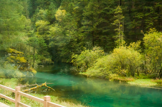 九寨溝朦朧山水 芳草海