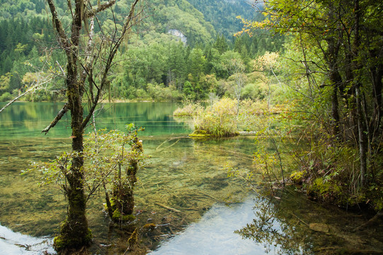 九寨溝山林湖泊秋色 臥龍海