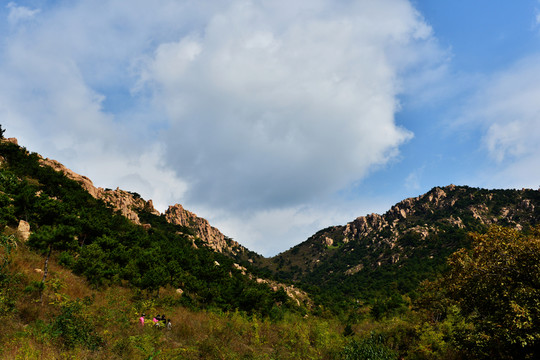 山野