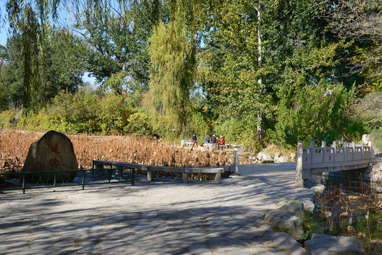 清華大學(xué)近春園蓮橋