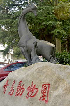 青島動(dòng)物園