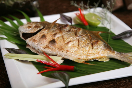 倉魚