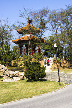 公園一角