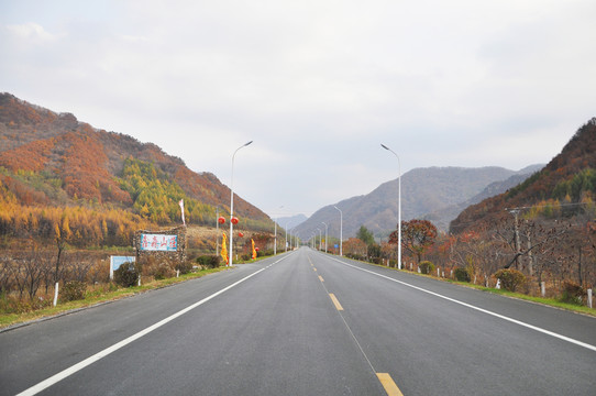 馬路